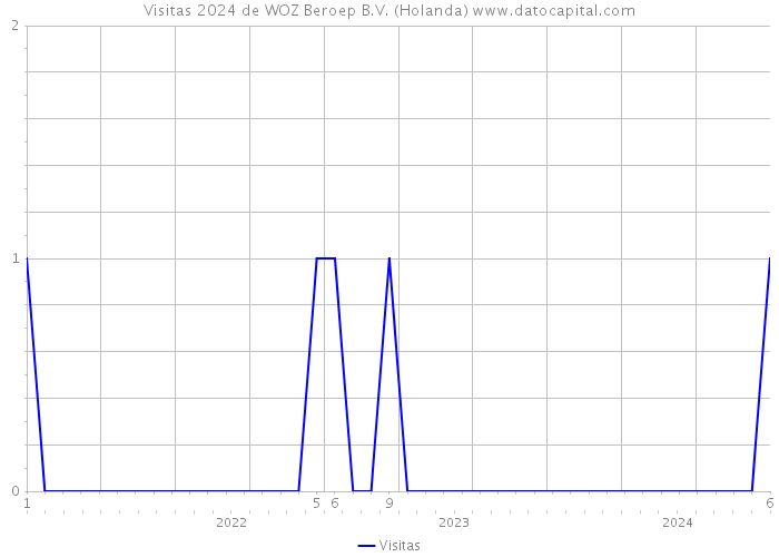 Visitas 2024 de WOZ Beroep B.V. (Holanda) 