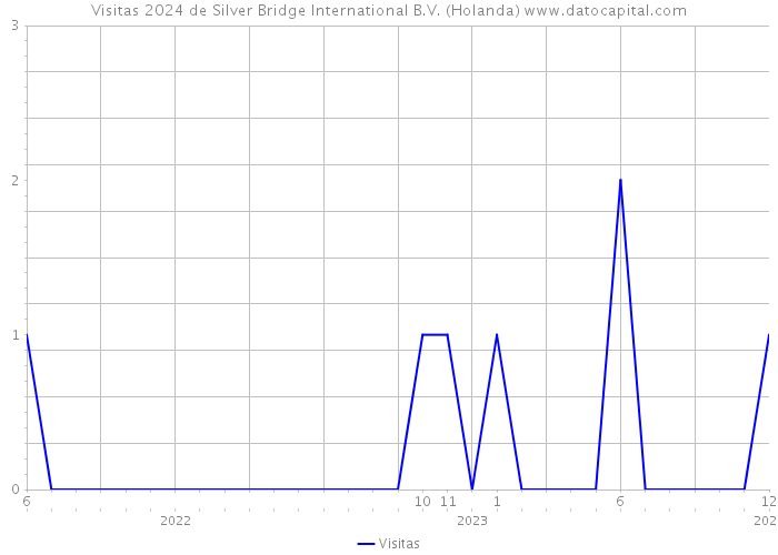 Visitas 2024 de Silver Bridge International B.V. (Holanda) 