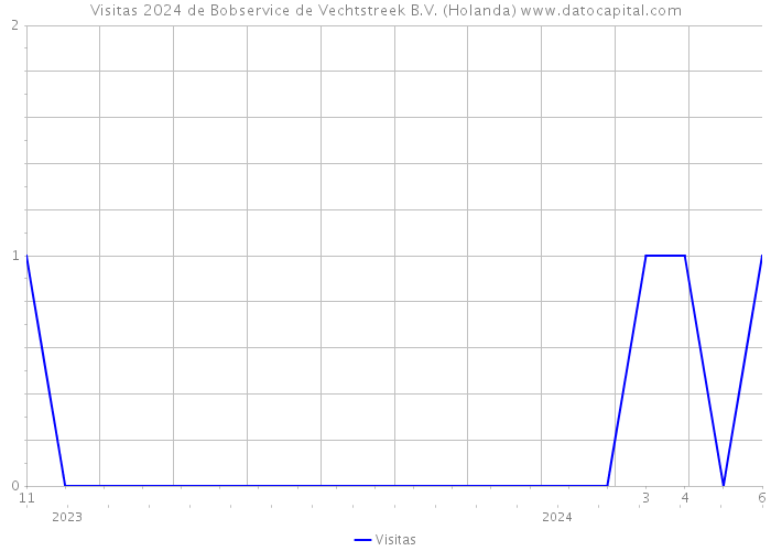 Visitas 2024 de Bobservice de Vechtstreek B.V. (Holanda) 