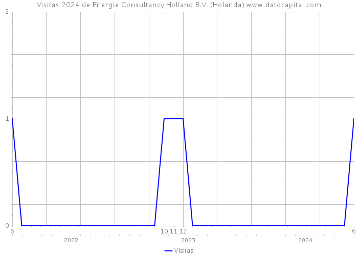 Visitas 2024 de Energie Consultancy Holland B.V. (Holanda) 