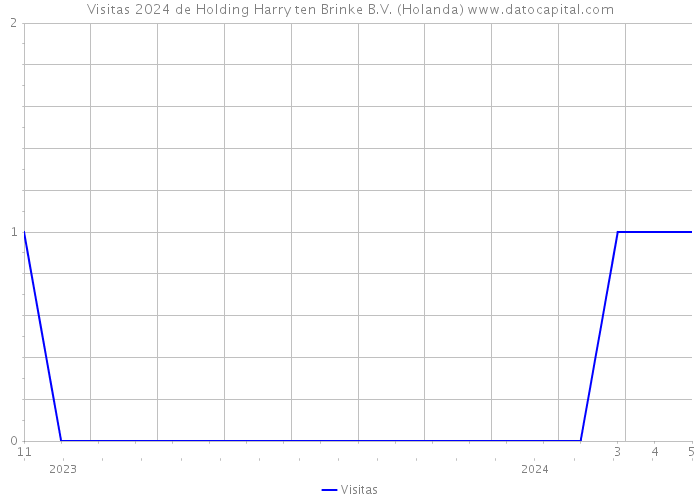 Visitas 2024 de Holding Harry ten Brinke B.V. (Holanda) 
