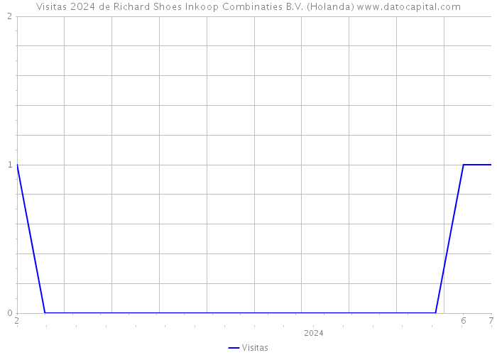 Visitas 2024 de Richard Shoes Inkoop Combinaties B.V. (Holanda) 