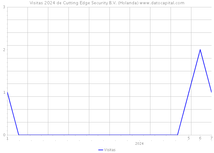 Visitas 2024 de Cutting Edge Security B.V. (Holanda) 