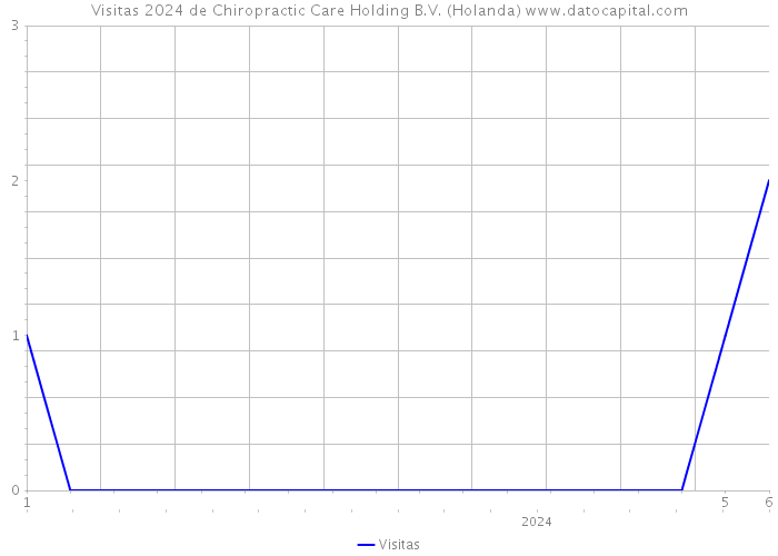 Visitas 2024 de Chiropractic Care Holding B.V. (Holanda) 