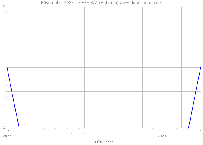 Búsquedas 2024 de HSA B.V. (Holanda) 