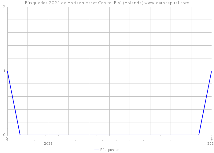 Búsquedas 2024 de Horizon Asset Capital B.V. (Holanda) 