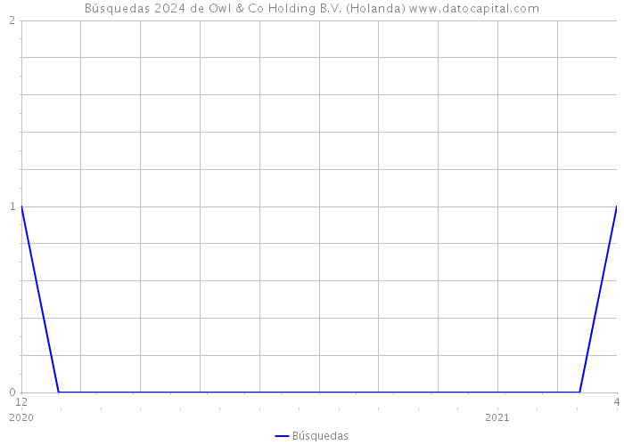 Búsquedas 2024 de Owl & Co Holding B.V. (Holanda) 