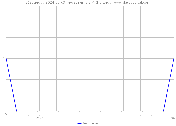 Búsquedas 2024 de RSI Investments B.V. (Holanda) 