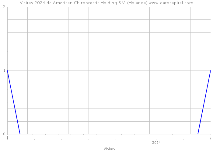 Visitas 2024 de American Chiropractic Holding B.V. (Holanda) 