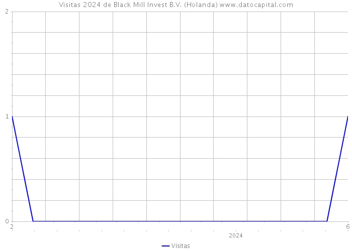Visitas 2024 de Black Mill Invest B.V. (Holanda) 