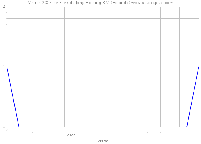 Visitas 2024 de Bliek de Jong Holding B.V. (Holanda) 