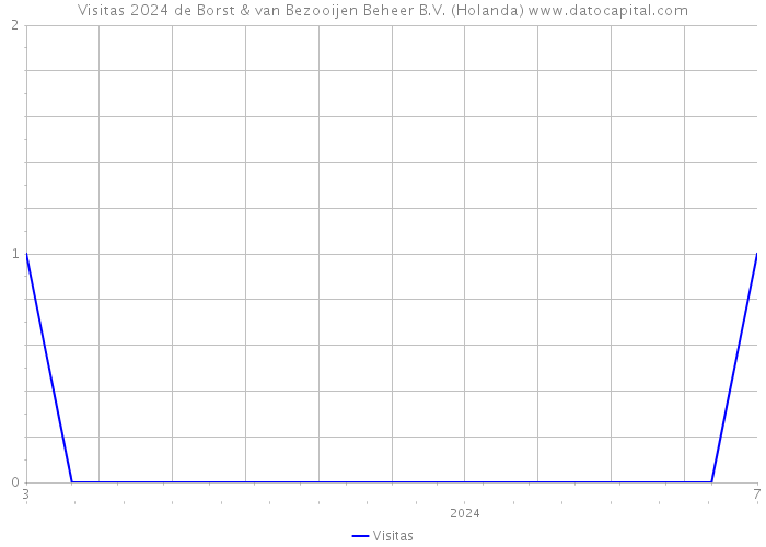 Visitas 2024 de Borst & van Bezooijen Beheer B.V. (Holanda) 