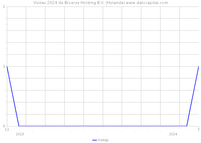 Visitas 2024 de Broerse Holding B.V. (Holanda) 