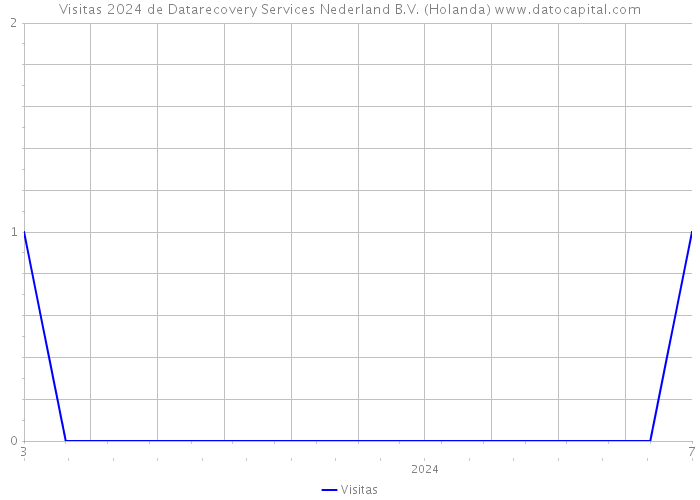 Visitas 2024 de Datarecovery Services Nederland B.V. (Holanda) 