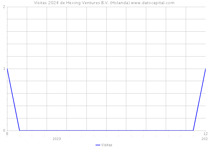 Visitas 2024 de Hexing Ventures B.V. (Holanda) 