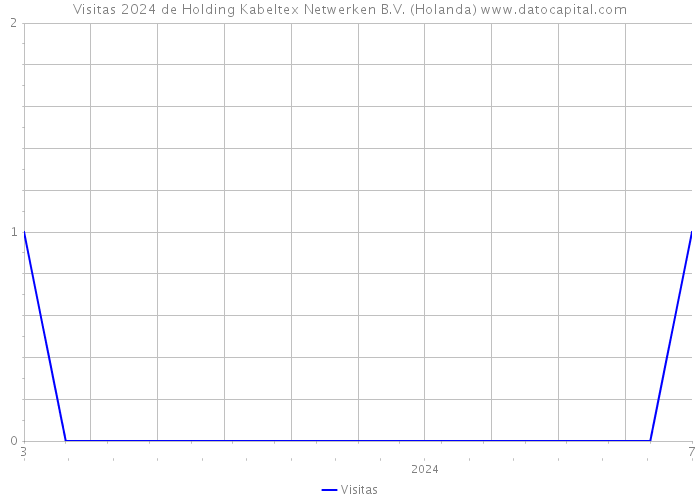 Visitas 2024 de Holding Kabeltex Netwerken B.V. (Holanda) 