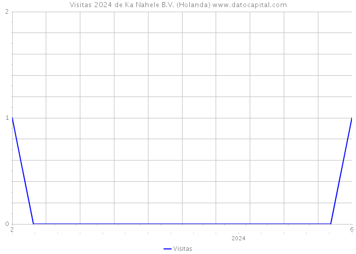 Visitas 2024 de Ka Nahele B.V. (Holanda) 