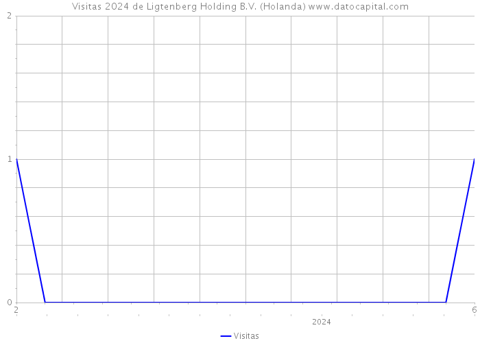 Visitas 2024 de Ligtenberg Holding B.V. (Holanda) 
