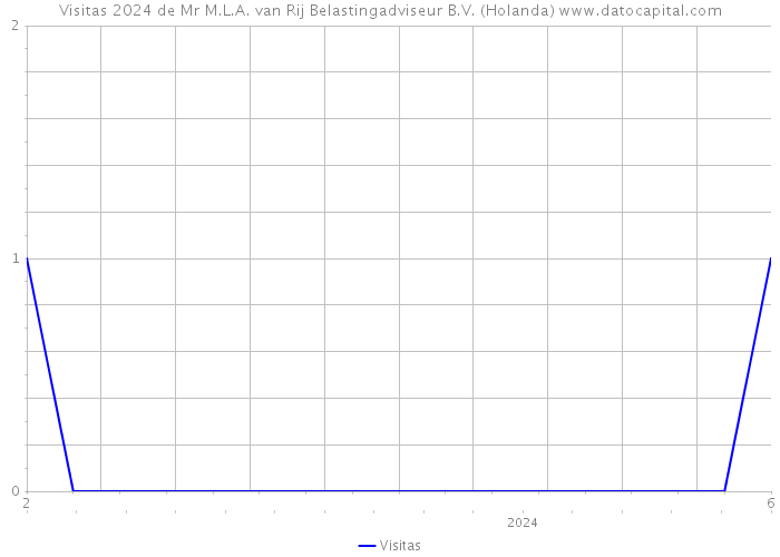 Visitas 2024 de Mr M.L.A. van Rij Belastingadviseur B.V. (Holanda) 