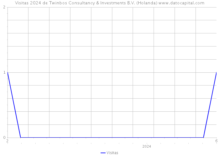Visitas 2024 de Twinbos Consultancy & Investments B.V. (Holanda) 