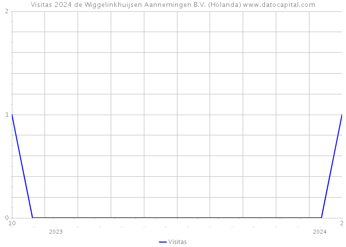 Visitas 2024 de Wiggelinkhuijsen Aannemingen B.V. (Holanda) 