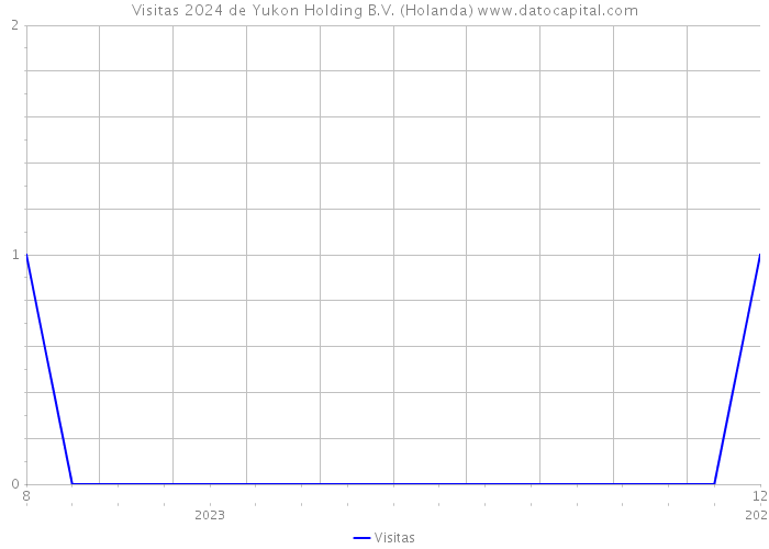 Visitas 2024 de Yukon Holding B.V. (Holanda) 