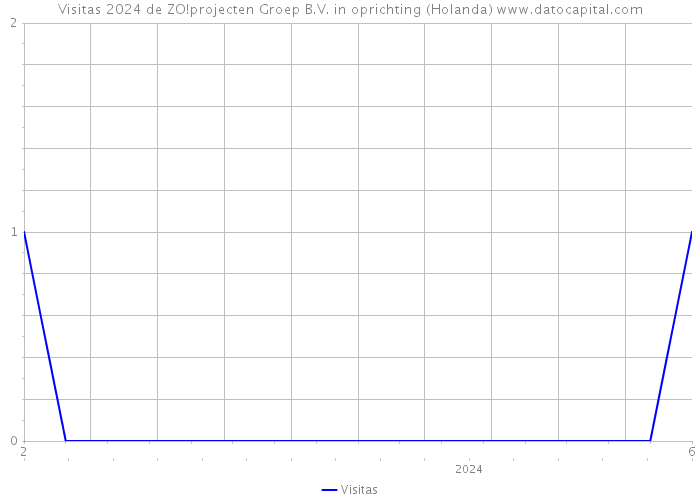 Visitas 2024 de ZO!projecten Groep B.V. in oprichting (Holanda) 