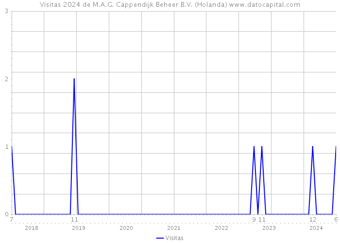 Visitas 2024 de M.A.G. Cappendijk Beheer B.V. (Holanda) 