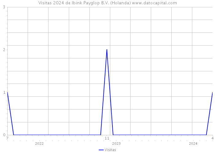 Visitas 2024 de Ibink Payglop B.V. (Holanda) 