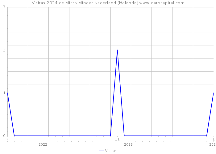 Visitas 2024 de Micro Minder Nederland (Holanda) 