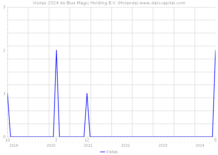 Visitas 2024 de Blue Magic Holding B.V. (Holanda) 