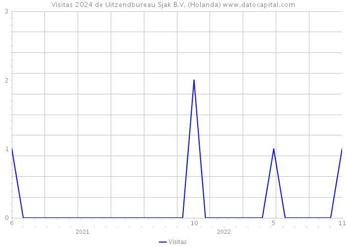 Visitas 2024 de Uitzendbureau Sjak B.V. (Holanda) 