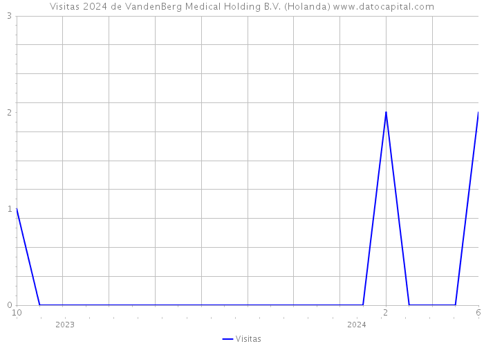 Visitas 2024 de VandenBerg Medical Holding B.V. (Holanda) 