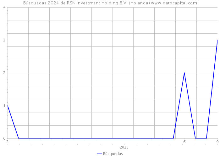 Búsquedas 2024 de RSN Investment Holding B.V. (Holanda) 