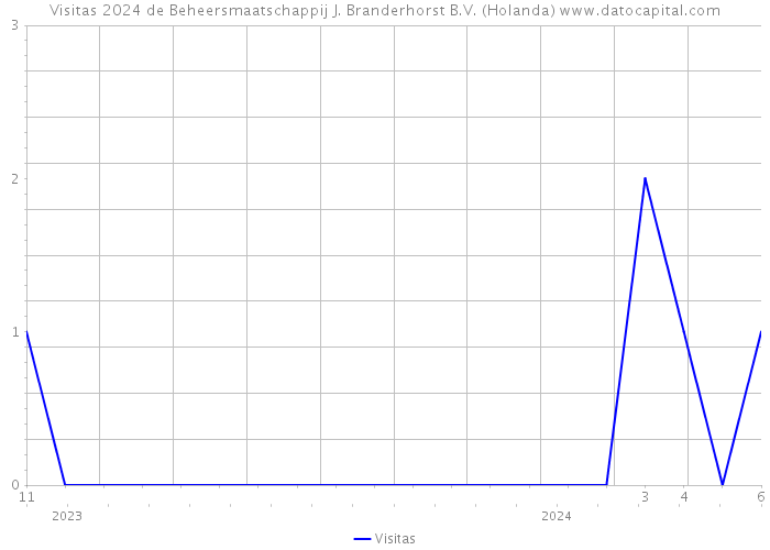 Visitas 2024 de Beheersmaatschappij J. Branderhorst B.V. (Holanda) 