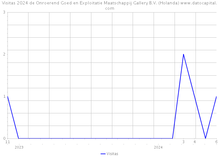 Visitas 2024 de Onroerend Goed en Exploitatie Maatschappij Gallery B.V. (Holanda) 