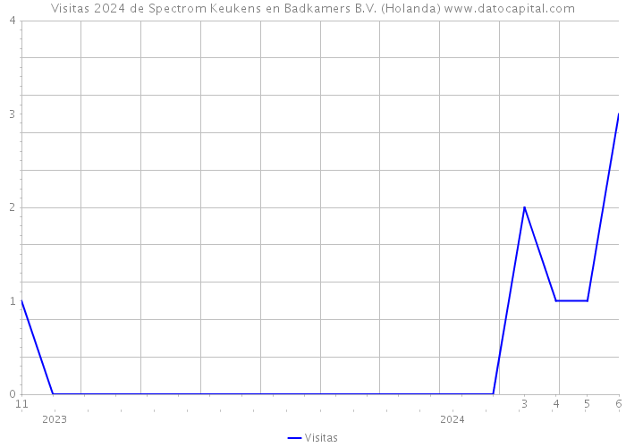 Visitas 2024 de Spectrom Keukens en Badkamers B.V. (Holanda) 