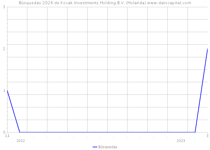 Búsquedas 2024 de Kocak Investments Holding B.V. (Holanda) 