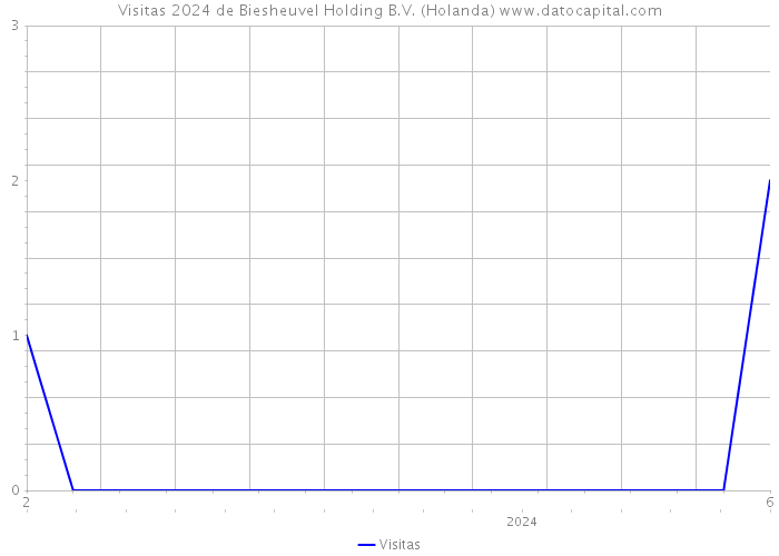 Visitas 2024 de Biesheuvel Holding B.V. (Holanda) 