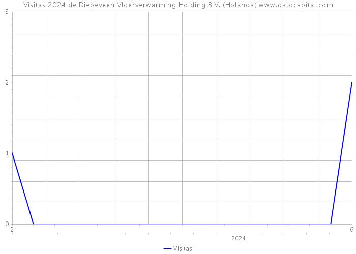 Visitas 2024 de Diepeveen Vloerverwarming Holding B.V. (Holanda) 