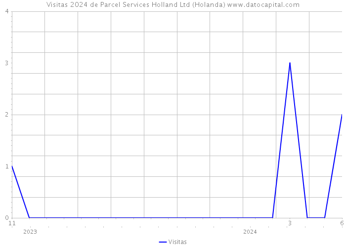 Visitas 2024 de Parcel Services Holland Ltd (Holanda) 