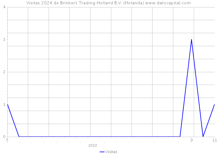 Visitas 2024 de Brinkers Trading Holland B.V. (Holanda) 
