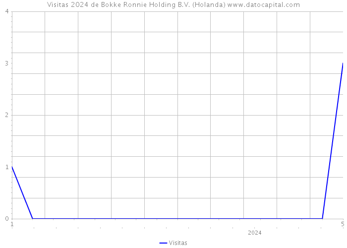 Visitas 2024 de Bokke Ronnie Holding B.V. (Holanda) 