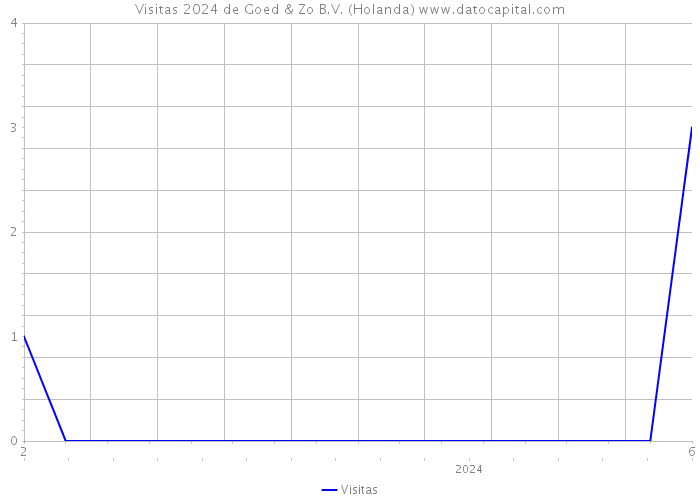 Visitas 2024 de Goed & Zo B.V. (Holanda) 