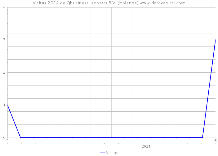 Visitas 2024 de Qbusiness-experts B.V. (Holanda) 