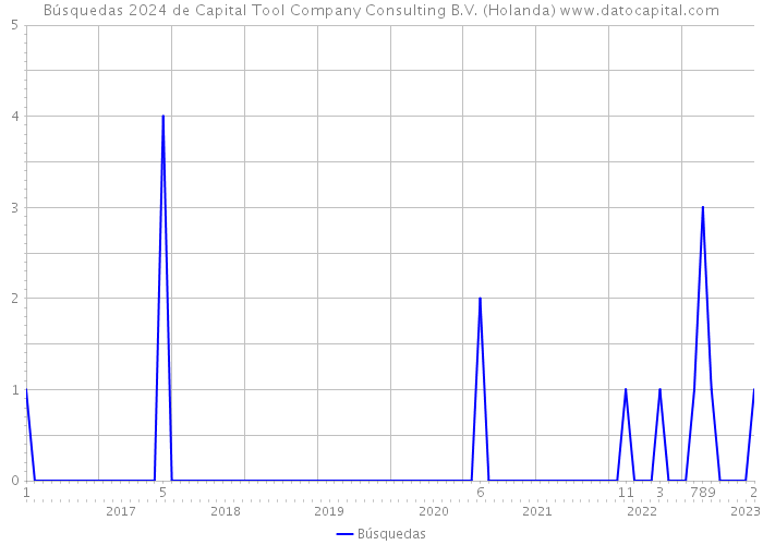 Búsquedas 2024 de Capital Tool Company Consulting B.V. (Holanda) 