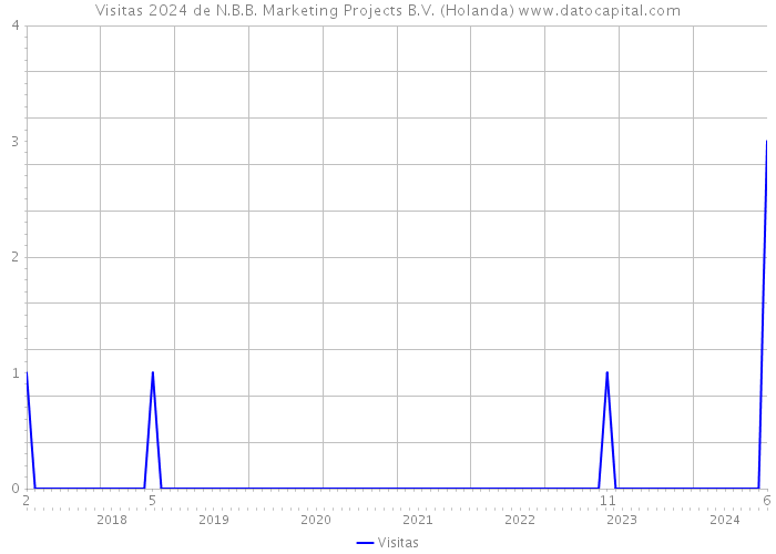 Visitas 2024 de N.B.B. Marketing Projects B.V. (Holanda) 