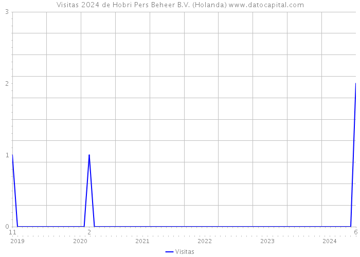 Visitas 2024 de Hobri Pers Beheer B.V. (Holanda) 