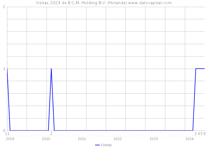 Visitas 2024 de B.C.M. Holding B.V. (Holanda) 