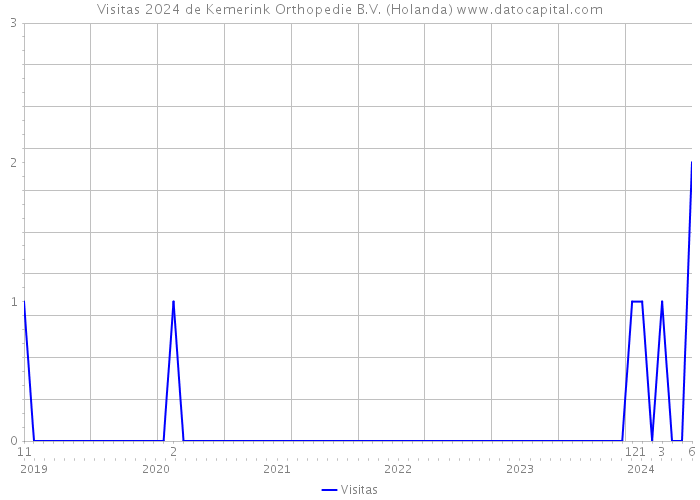 Visitas 2024 de Kemerink Orthopedie B.V. (Holanda) 